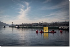 F99889C9-7F9A-4B27-8919-7C145780C59A-589-000004A3E71E6B0E