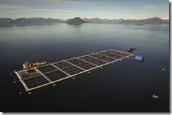 Activistas de Greenpeace  llegaron en zodiacs hasta las jaulas salmoneras de Cermaq en Seno Skyring, perteneciente a la multinacional Mitsubishi, donde desplegaron bajo el agua un cartel con el mensaje: &ldquo;Esto es lo que esconden las empresas salmoneras&rdquo;, haciendo referencia a las gigantes concesiones de esta industria cuyas jaulas ocupan aproximadamente una cancha de f&uacute;tbol  y un edificio de cinco pisos en profundidad.