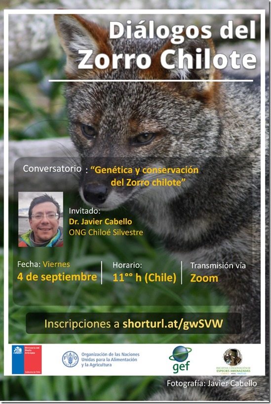 Conversatorio Zorro Chilote