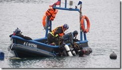 GERSA - Segunda compa&ntilde;ia de bomberos de Dalcahue