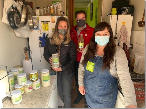 CREACI&Oacute;N DE EMPRESAS REGION DE LOS LAGOS