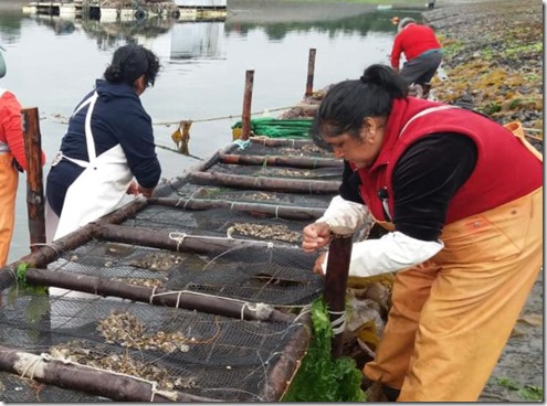 proyecto enfoque genero