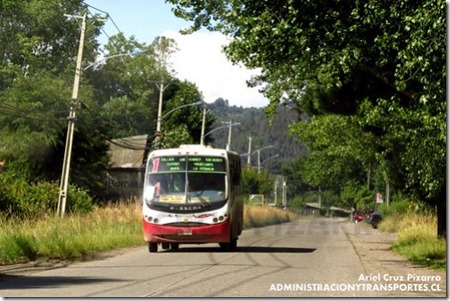 Buses rurales 1