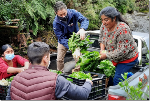Agricultores Quell&oacute;n