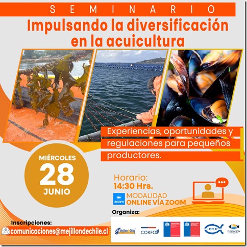 Seminario diversificaci&oacute;n, exposiciones.