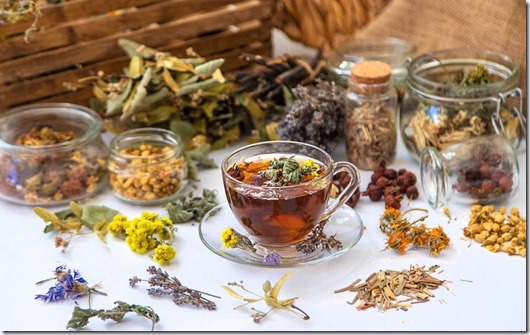 Salud al alcance de tu taza_ &iexcl;exploremos las infusiones medicinales!