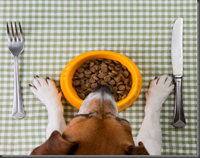 Dise&ntilde;o sin t&iacute;tulo - 1