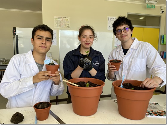 Liceo Curaco de V&eacute;lez 2