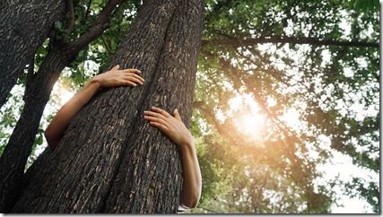 Woman hugging a big tree in the outdoor forest, Ecology and nature, Protect environment and save the forest, Energy sources for renewable, Earth day.
