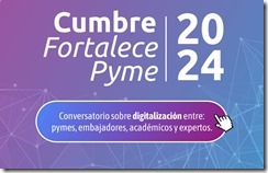 CUMBRE FPYME PUERTO VARAS