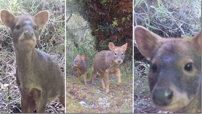 25-03-2025-pudues-1536x864