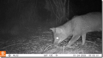 WhatsApp-Image-2025-03-25-at-12.19.41