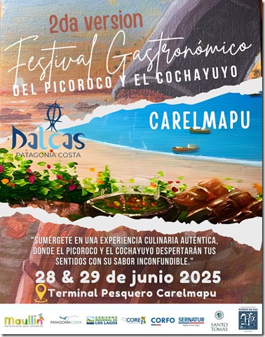 afiche festival de picoroco 2025