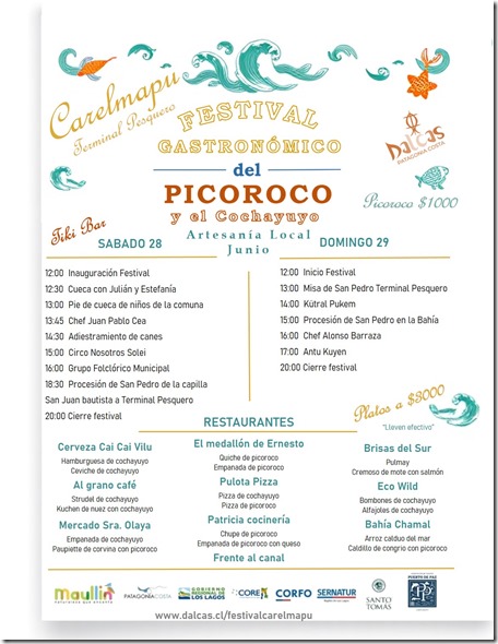 programa festival del picoroco
