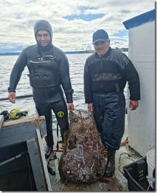 5.1. Pescador de Dalcahue José Muñoz