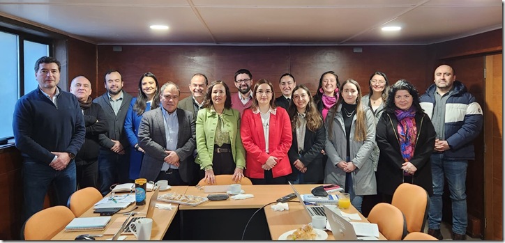 Comité APL Marítimo Portuario Los Lagos 2