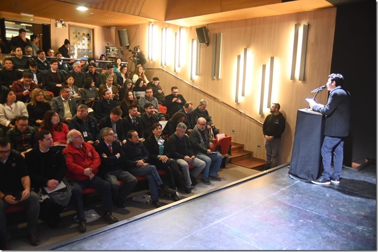 Mesa Los Lagos y Subdere 1 (1)