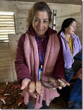 Agricultora de Carahue (Mariela Concha)