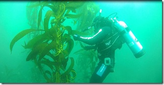 Buceo (1) Buceo (1)