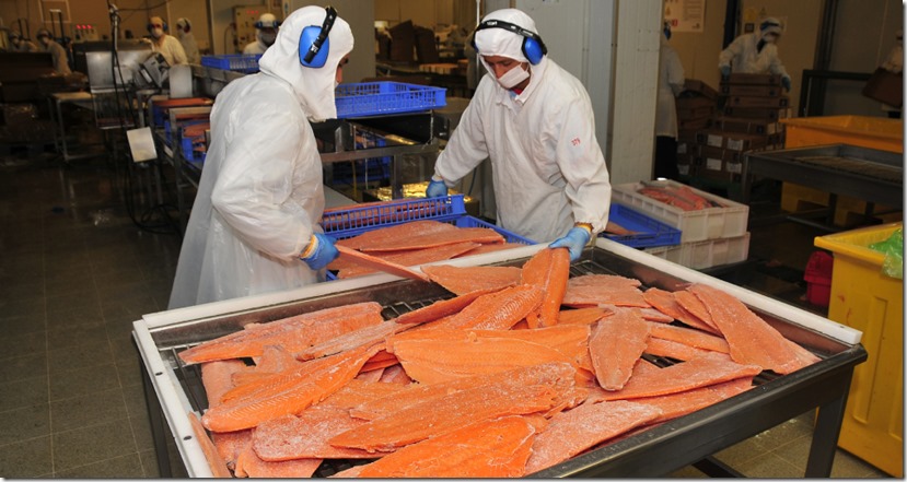 Salmon-SEP2021