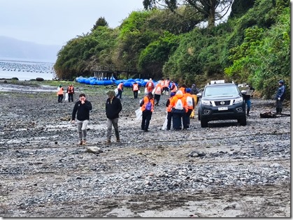 LimpiezaPlayasMunDalcahueLandes (2)