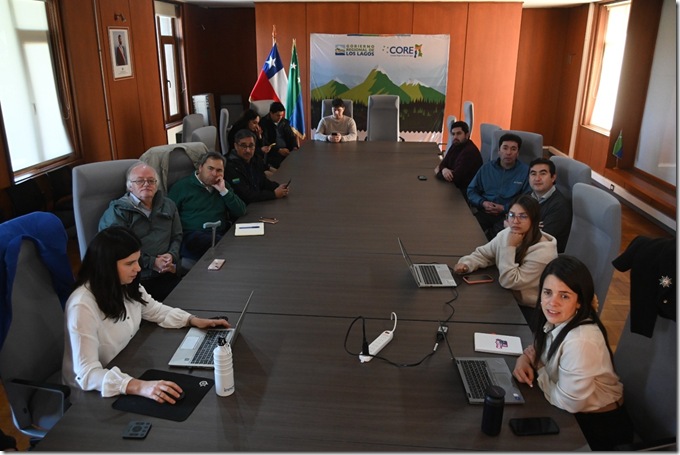 Charla y taller en GORE Los Lagos1