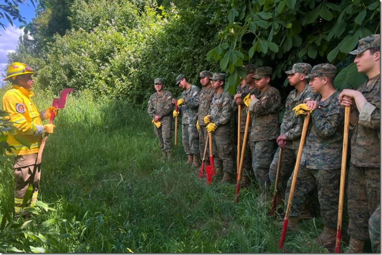 27_3693c29c575cee2.51815905