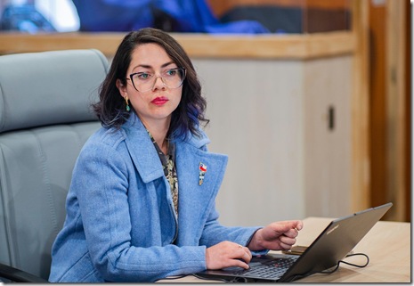 Seremi Danitza Ortiz