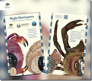 regla-marisquera