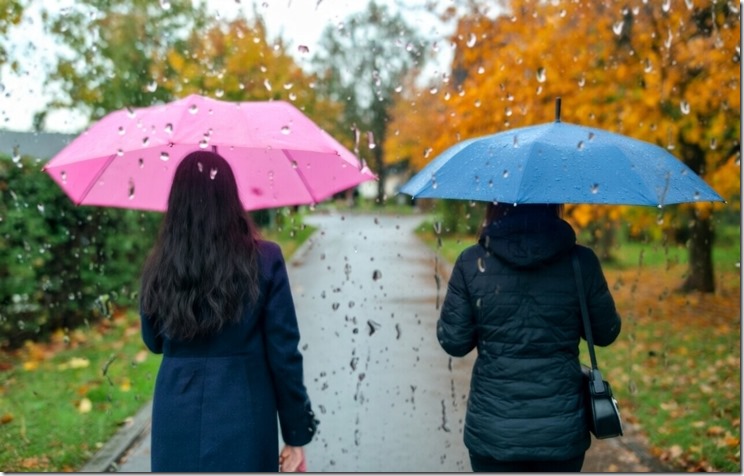 image - 2026-03-22T221427.965