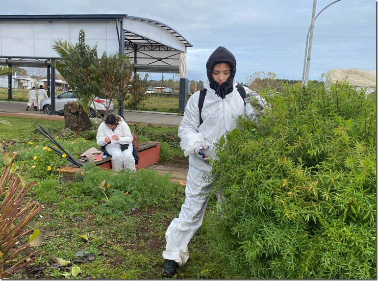foto1