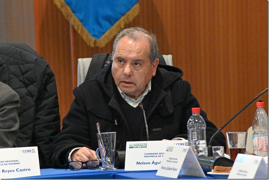Core Nelson &Aacute;guila