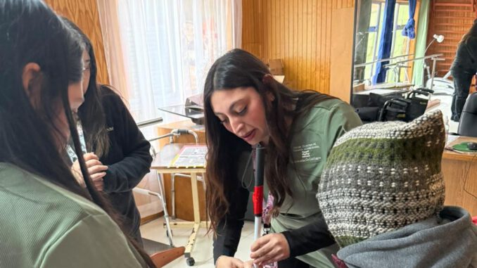 Estudiantes de la Universidad de Los Lagos presentan dispositivos tecnológicos diseñados para ayudar a personas mayores en el ELEAM de Castro.
