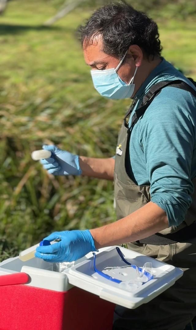 Autoridades realizando muestreo de agua en estero de Frutillar tras denuncia de vertimiento ilegal