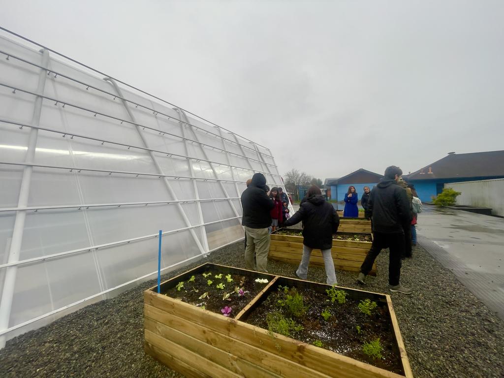 Estudiantes trabajando en un nuevo espacio de huerto escolar al aire libre en un liceo de la región de Los Lagos
