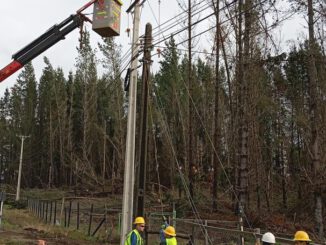 Trabajadores de Saesa reparando líneas eléctricas afectadas por el temporal en la provincia de Osorno.