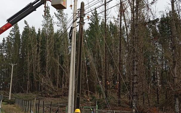 Trabajadores de Saesa reparando líneas eléctricas afectadas por el temporal en la provincia de Osorno.