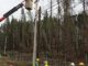Trabajadores de Saesa reparando líneas eléctricas afectadas por el temporal en la provincia de Osorno.