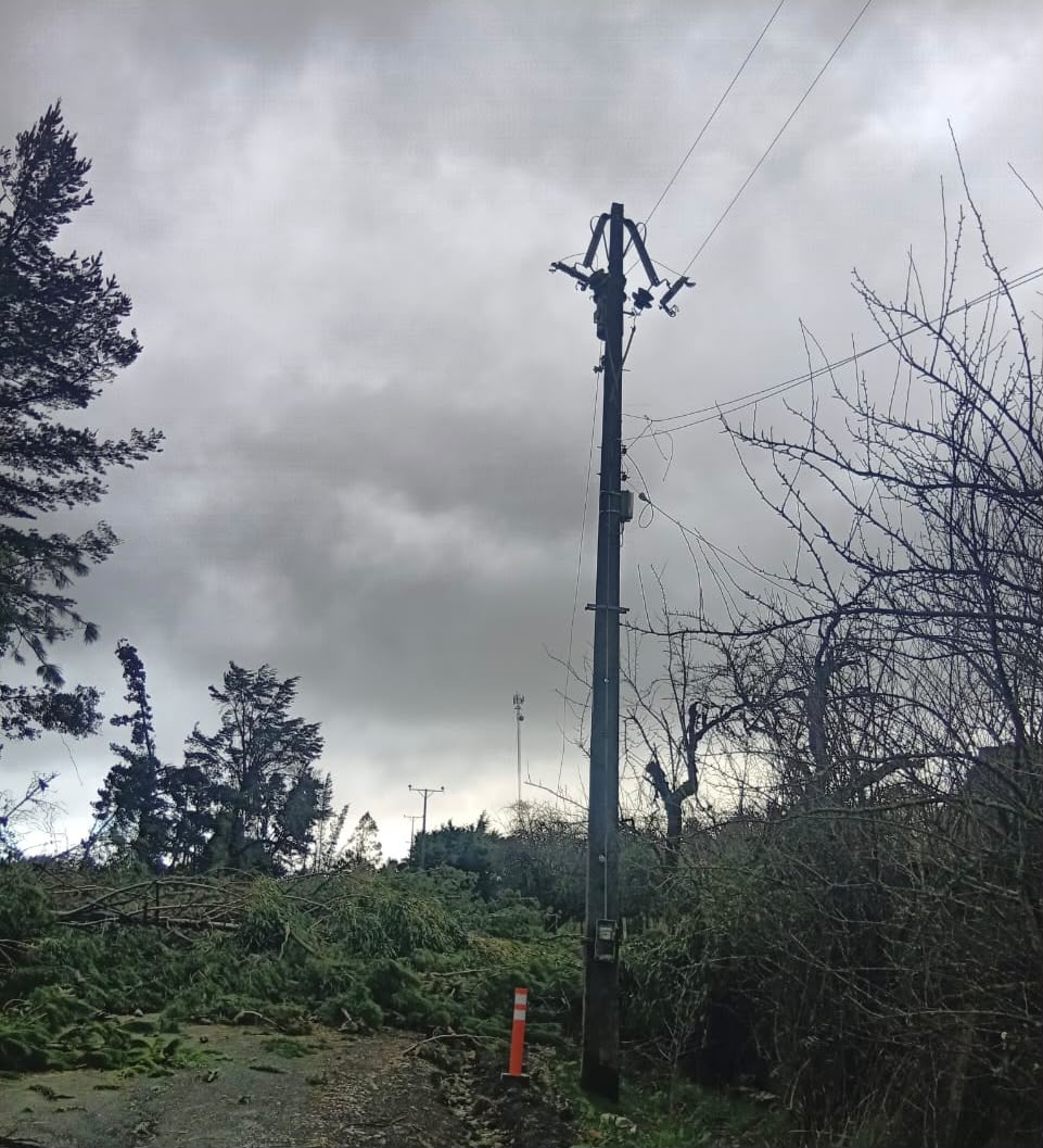 Trabajadores de Saesa reparando líneas eléctricas afectadas por el temporal en la provincia de Osorno.