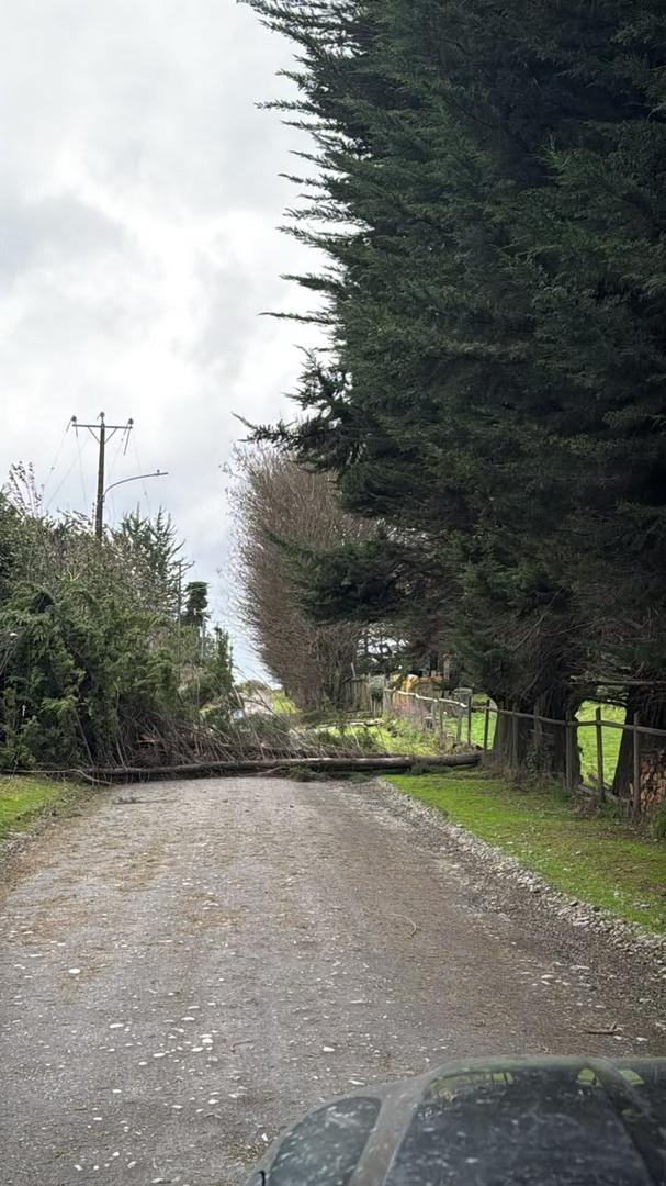 Brigadas de Saesa trabajando en la reposición del suministro eléctrico en la provincia de Osorno tras sistema frontal