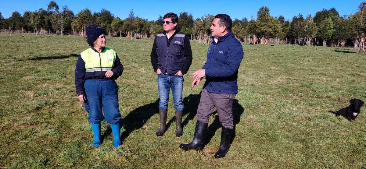 Agricultor revisando cultivos en la región de Los Lagos ante alerta climática