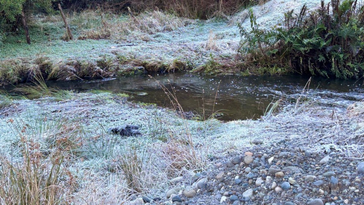 Agricultor revisando cultivos en la región de Los Lagos ante alerta climática