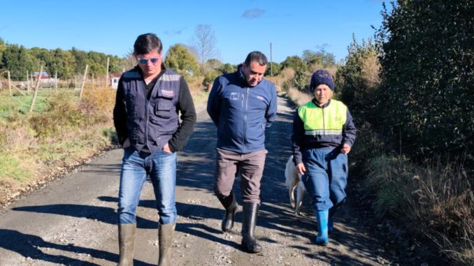 Agricultor revisando cultivos en la región de Los Lagos ante alerta climática