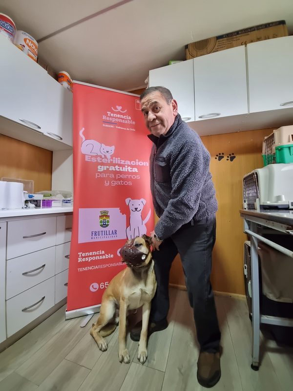 Equipo veterinario del Centro de Esterilización Municipal realizando una atención a mascotas en Frutillar.
