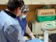 Equipo veterinario del Centro de Esterilización Municipal realizando una atención a mascotas en Frutillar.