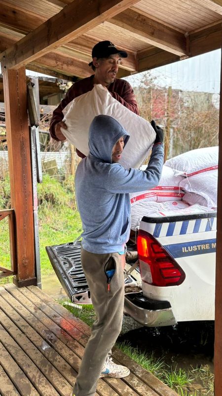Autoridades del Ministerio de Agricultura supervisan la entrega de sacos de alimento concentrado para ganado en la provincia de Osorno.