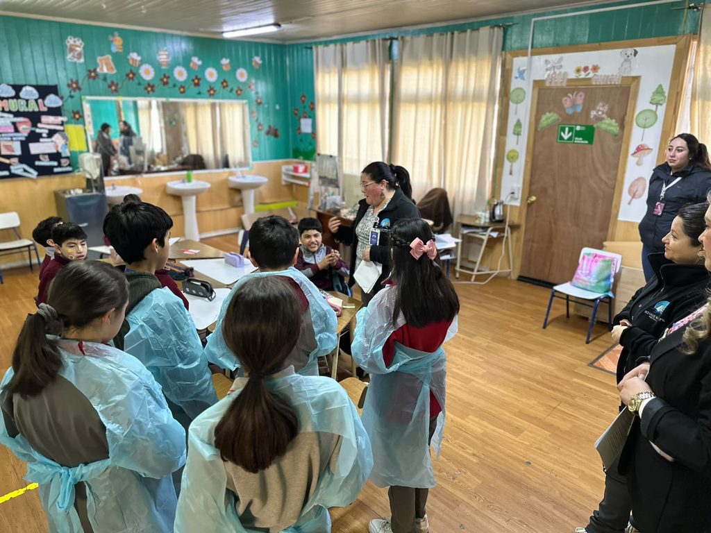 Estudiantes de escuela básica participando en actividades educativas sobre salud y servicios de emergencia en Frutillar