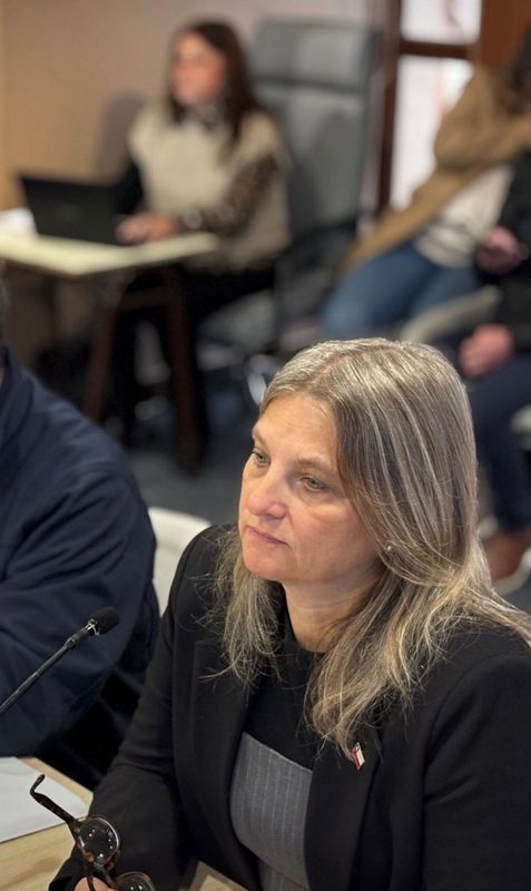 Gisela Strauch seremi de Economia de Los Lagos analizando el panorama productivo regional