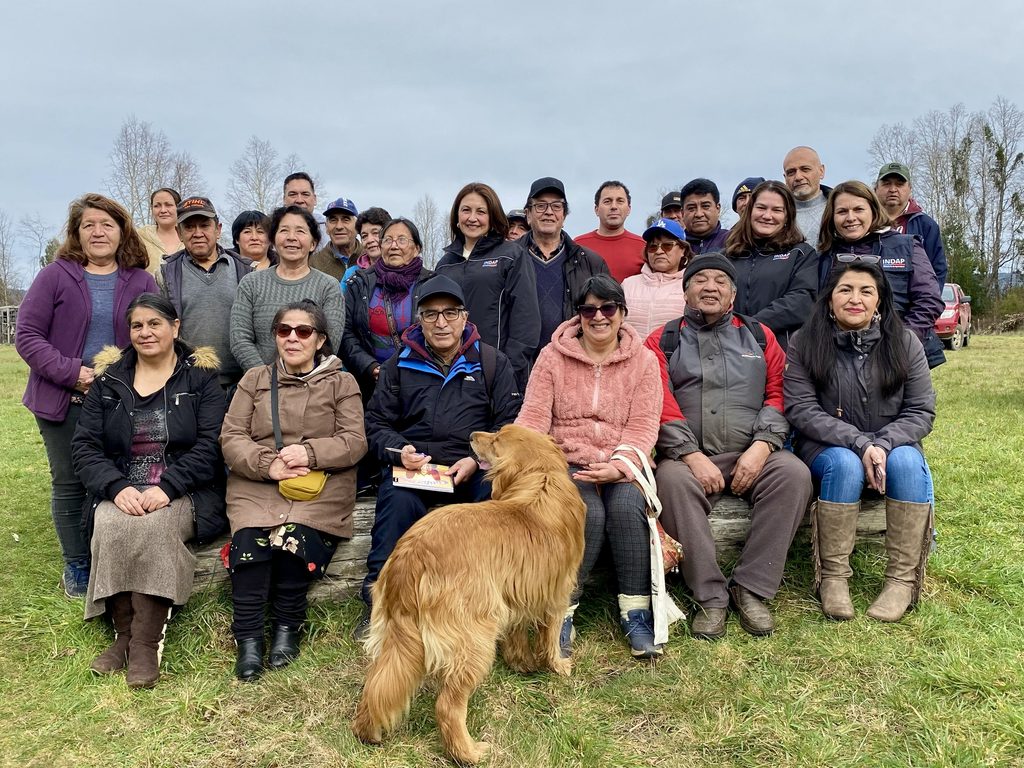 Entrega de fardos de forraje por INDAP a agricultores de San Pablo afectados por inundaciones