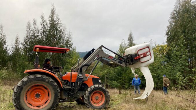 Entrega de fardos de forraje por INDAP a agricultores de San Pablo afectados por inundaciones
